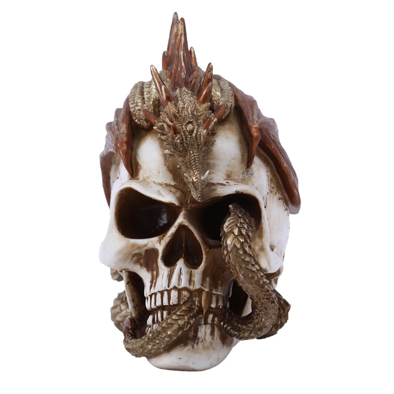 Skull Dragon Resin Figurine -  - Art Craft Bar review and price