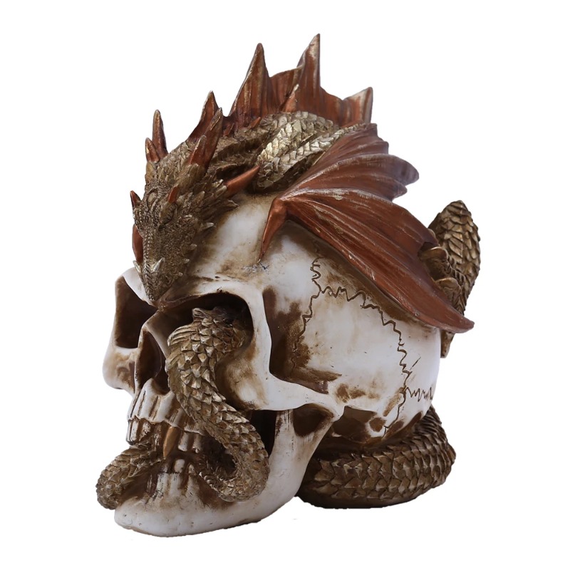 Skull Dragon Resin Figurine -  - Art Craft Bar review and price