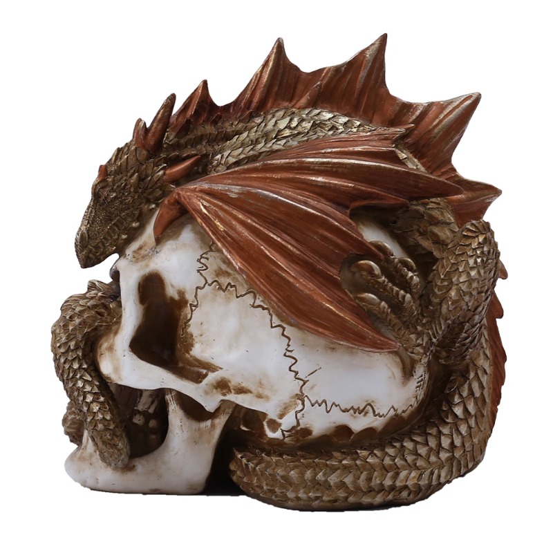 Skull Dragon Resin Figurine -  - Art Craft Bar review and price