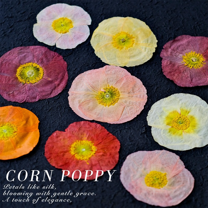 1pcs,Nature Field Poppy Presse - Art And Craft Nature review and price
